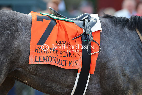 z240224_HoneybeeStakes_JWM_0857