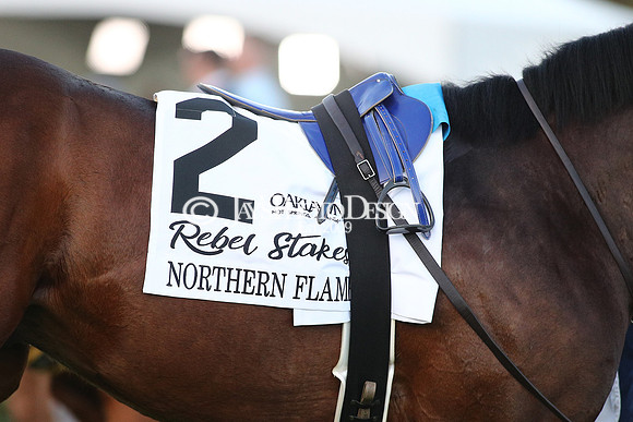 z240224_RebelStakes_JWM_1489