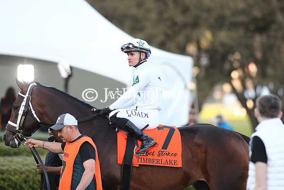 z240224_RebelStakes_JWM_1608