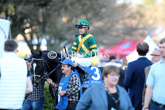 z240224_RebelStakes_JWM_1586