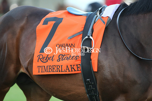 z240224_RebelStakes_JWM_1572