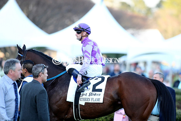 z240224_RebelStakes_JWM_1585