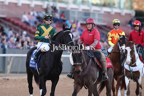 z240224_RebelStakes_JWM_1667