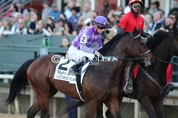 z240224_RebelStakes_JWM_1729