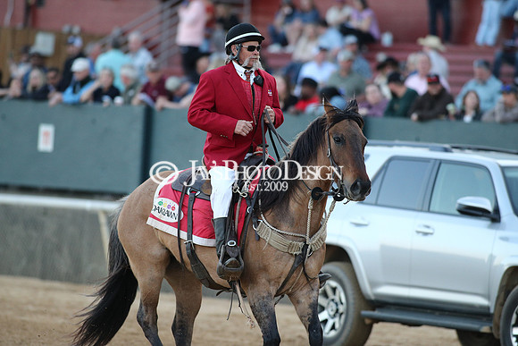 z240224_RebelStakes_JWM_1795