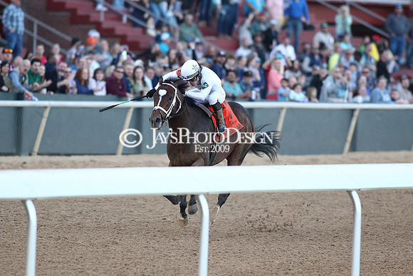 z240224_RebelStakes_JWM_1872