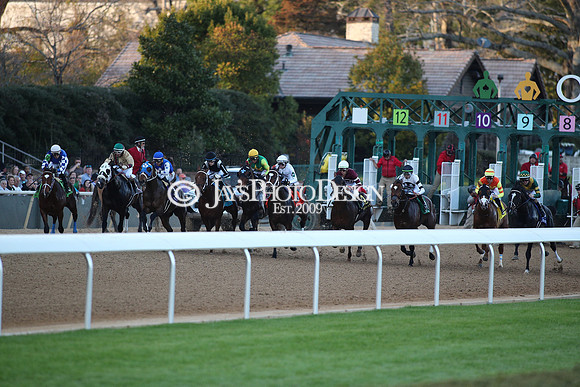 z240224_RebelStakes_JWM_1829