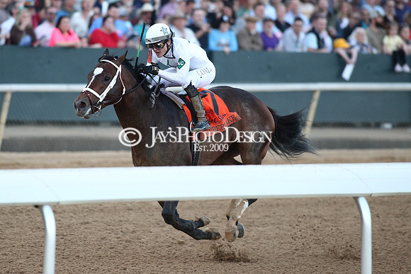 z240224_RebelStakes_JWM_1879