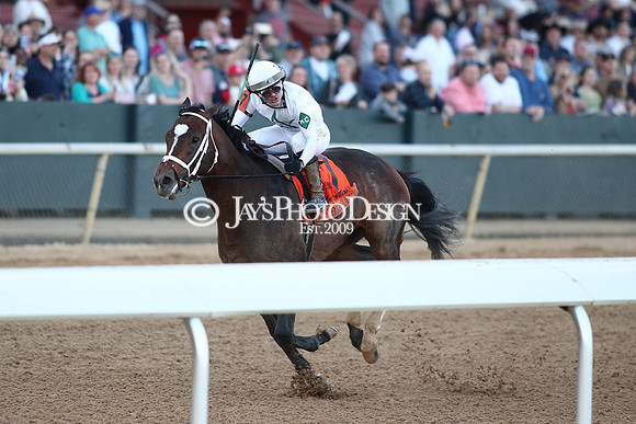 z240224_RebelStakes_JWM_1875