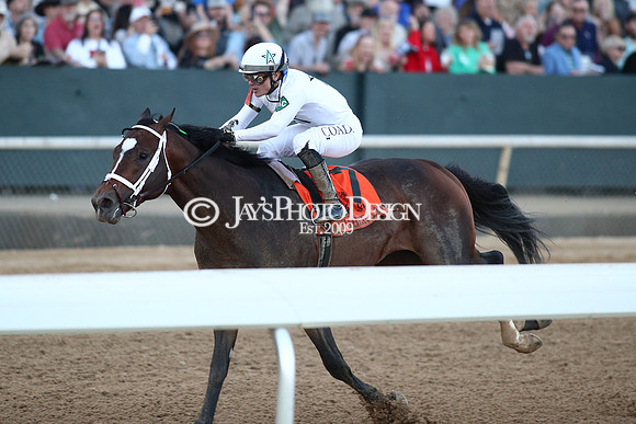 z240224_RebelStakes_JWM_1883
