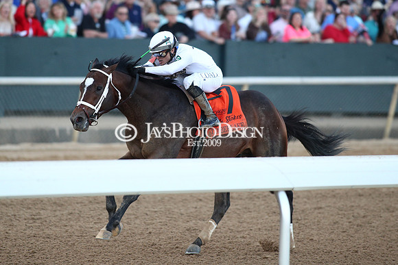 z240224_RebelStakes_JWM_1881