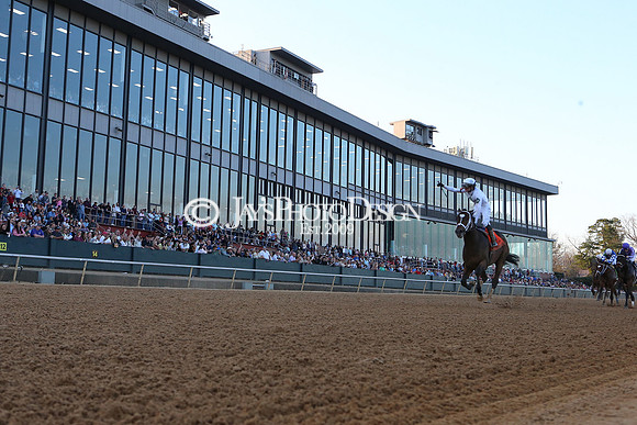 z240224_RebelStakes_JWM_1334