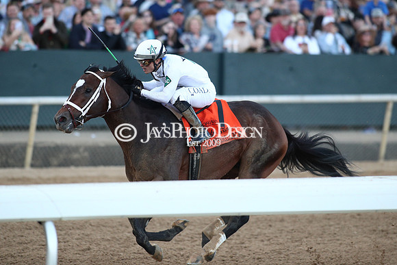 z240224_RebelStakes_JWM_1885
