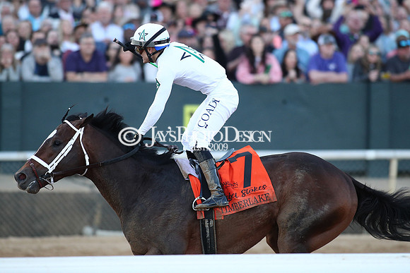 z240224_RebelStakes_JWM_1894