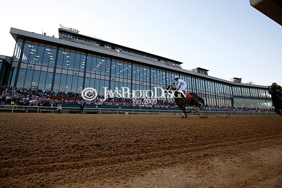 z240224_RebelStakes_JWM_1423