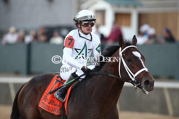 z240224_RebelStakes_JWM_1912