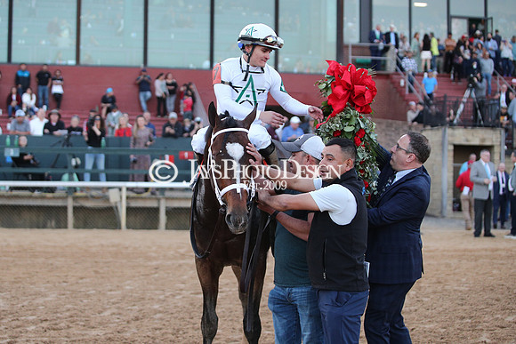 z240224_RebelStakes_JWM_2014