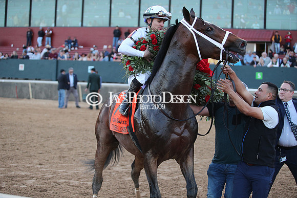 z240224_RebelStakes_JWM_2029