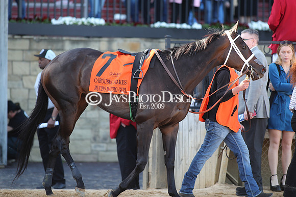 z240224_CarouselStakes_JWM_0194