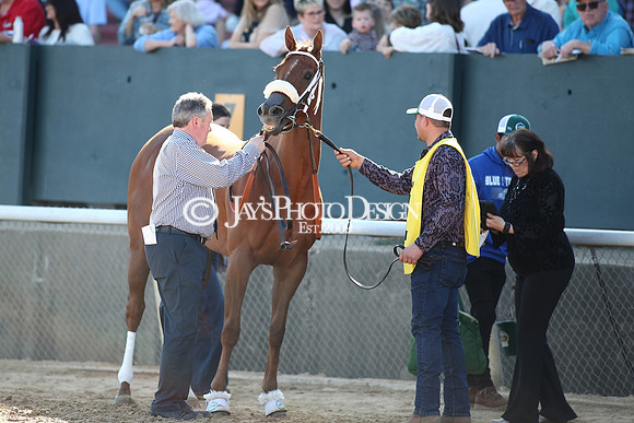 z240224_CarouselStakes_JWM_0148