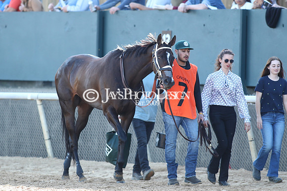 z240224_CarouselStakes_JWM_0138