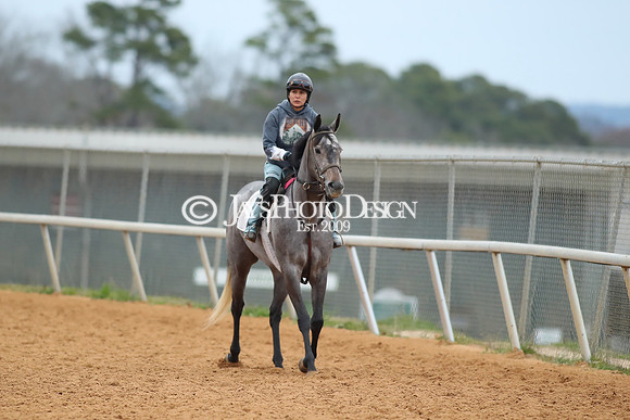 z250104_SmartyJonesStakesDay _JWM_0064