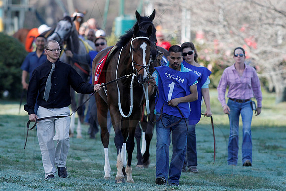 Azeri Stakes 3-16-13 (© Justin Manning) JWM0116