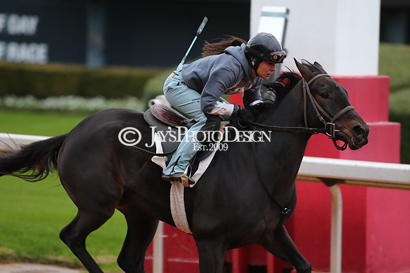 z250104_SmartyJonesStakesDay _JWM_0032