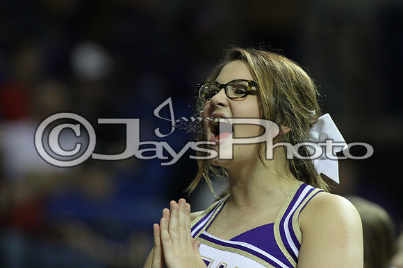 Riverview vs. Ozark 4A Girls State Finals 3-13-2015 (©Justin Manning) JWM_448