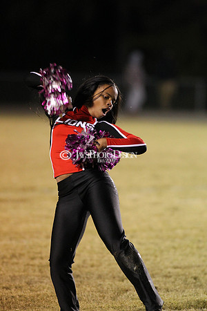 Valley View @ LR McClellan 11-9-18_JWM_0442