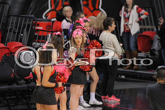 ULM @ Arkansas State Womans Basketball 2-21-2015 (©Justin Manning) JWM_153