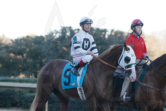 Oaklawn 1-21-13 (Smarty Jones Stakes) (Justin Manning)0184