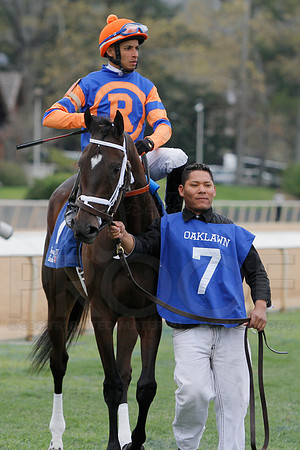 Fantasy Stakes 4-5-2014 (© Justin Manning) JWM_0677