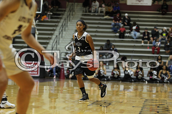 Arkansas State @ Little Rock Women's Basketball 1-14-17_JWM_00244