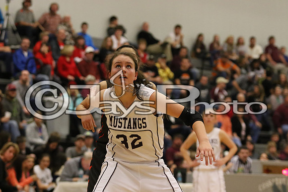 Lamar vs. Perryville Girls 3A State 3-6-2015 (©Justin Manning) JWM_184