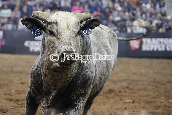 PBR "Unleash The Beast" Day 1 3-15-24_JWM_0864