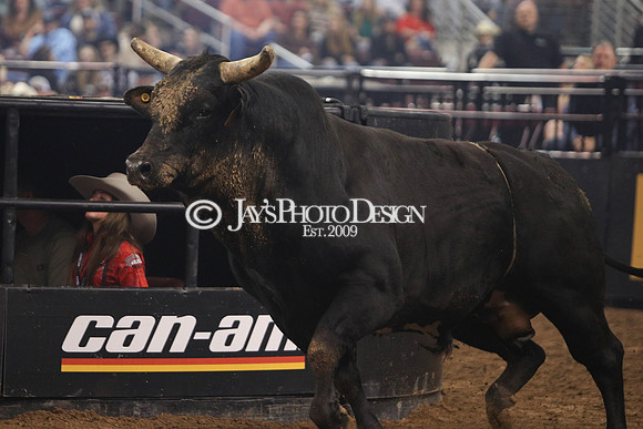 PBR "Unleash The Beast" Day 1 3-15-24_JWM_1038