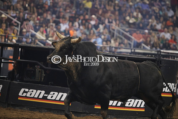 PBR "Unleash The Beast" Day 1 3-15-24_JWM_1039