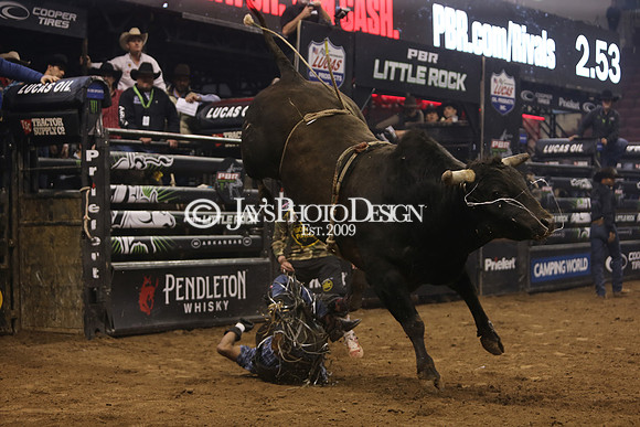PBR "Unleash The Beast" (Day two) 3-16-24_JWM_0046