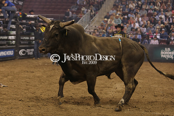 PBR "Unleash The Beast" (Day two) 3-16-24_JWM_0075