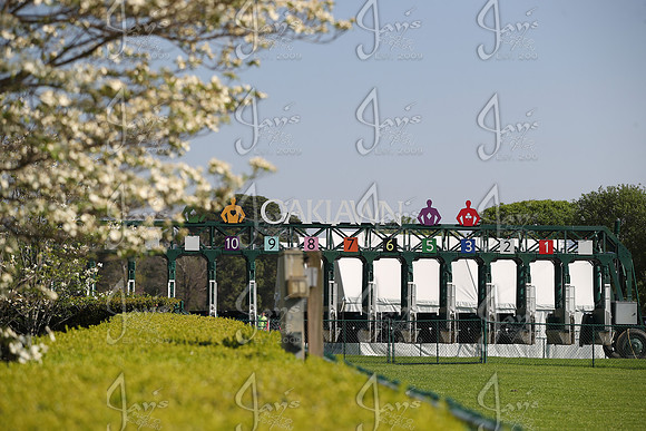 Apple Blossom Stakes Day 4-12-25_JWM_0086