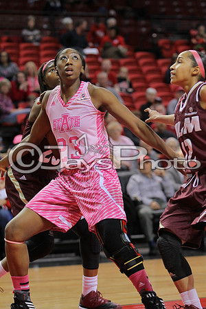ULM @ Arkansas State Womans Basketball 2-21-2015 (©Justin Manning) JWM_640