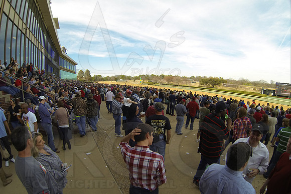 Southwest Stakes 2-17-2014 (© Justin Manning) JWM_0118