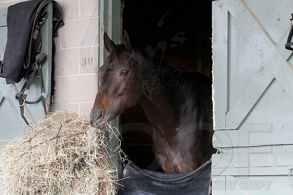 Oaklawn 1-11-13 (Justin Manning)0024
