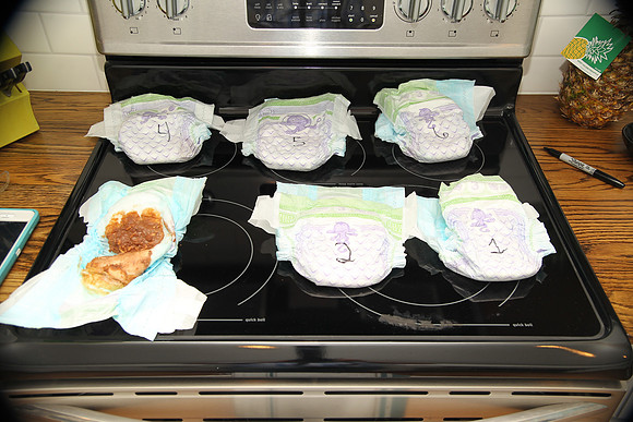 Greyson's Baby Shower 4-1-17_00023