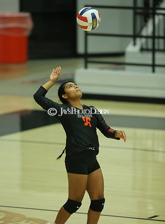 Camden Fairview @ Malvern JV_JWM_0127