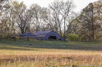Barns 3-25-20_0060