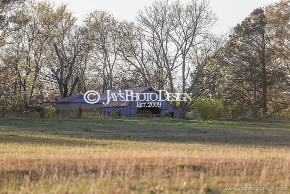 Barns 3-25-20_0060