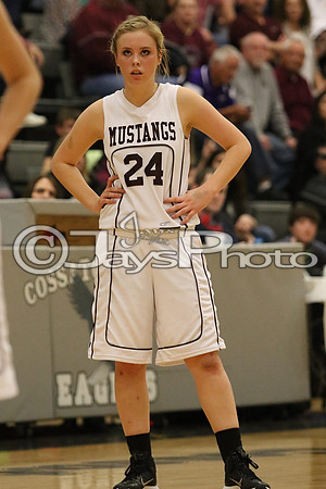 Lamar vs. Perryville Girls 3A State 3-6-2015 (©Justin Manning) JWM_118