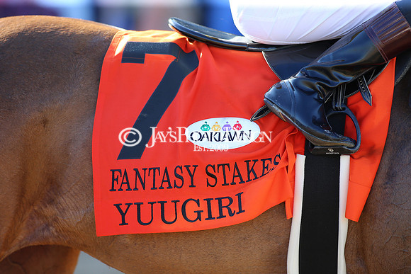 z220402_ArkansasDerbyday_Manning_JWM_1611